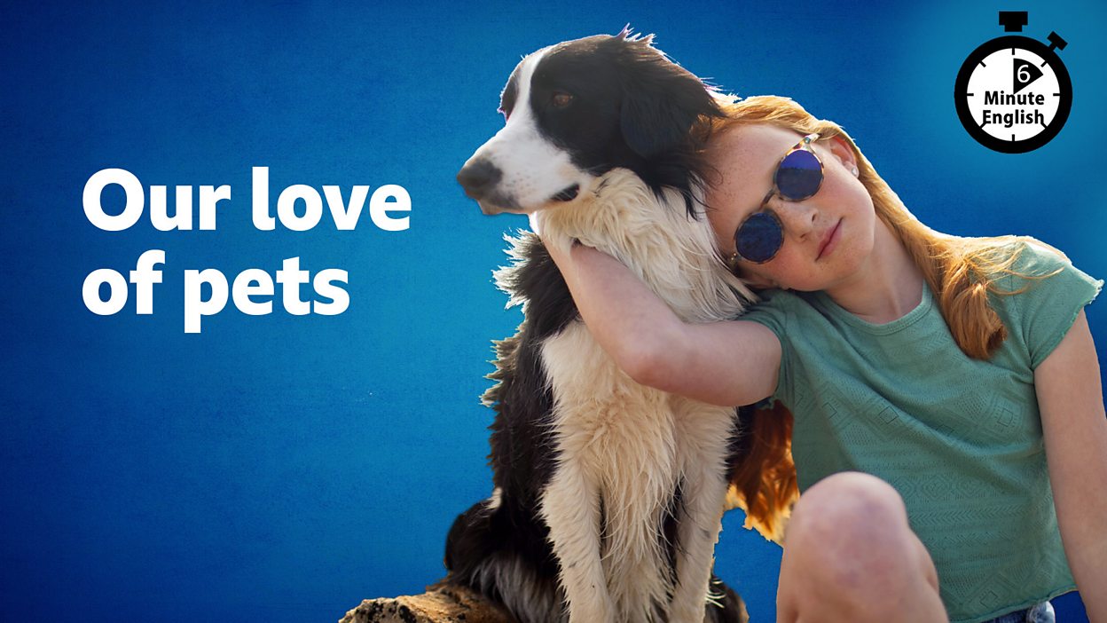 کاور اپیزود Our love of pets از 6 Minute English